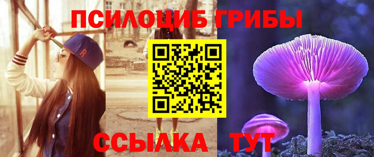 цена   Вход с VPN  Псилоцибиновые грибы Psilocybine cubensis  Зеленодольск  Псилоцибиновые грибы Psilocybine cubensis 